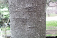 0008051