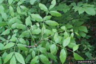 0008423