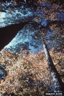 0014290