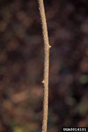 0016101