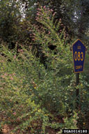 0016180