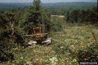 0016339