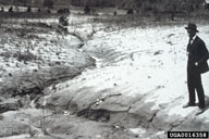 0016358