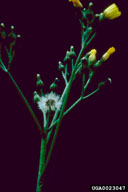 0023047
