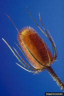 0024060