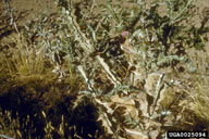 0025094