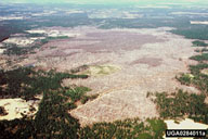 0284011
