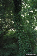0580095