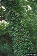 0580096
