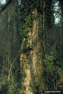 0580099