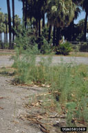 0581069