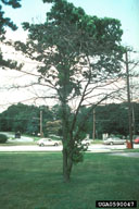 0590047