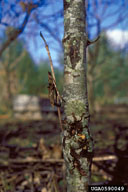 0590049