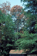 0590092