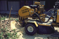0590096