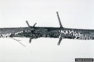 0656049