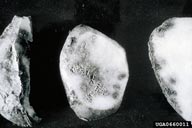 0660011
