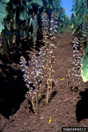 0686013