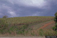 0756039