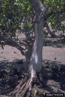 0756056