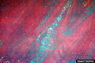 0758056