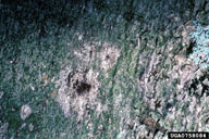0758084