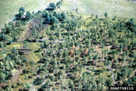 0758110