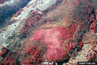 0758182