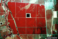 0758202