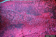 0758220