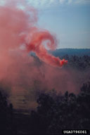 0796061