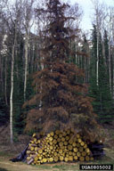 0805002