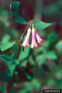 0806024