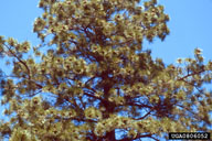 0806052