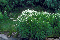 0807018
