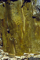 0949045