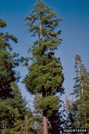 0976069