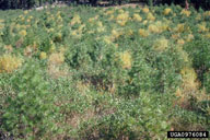 0976084