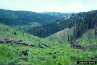 0976090