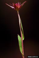 1120111