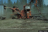 1174009