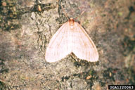 1220063