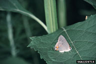 1226714