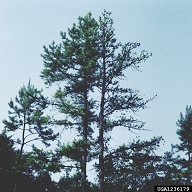 1236179