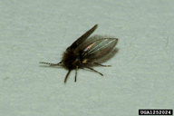 1252024