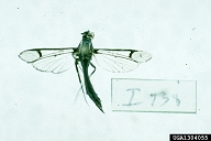 1304055