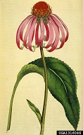 1316046