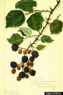 1318011