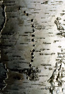 1329060