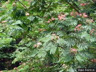 1342016